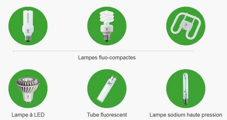 Lampes-a-recycler_mainstory1.jpg